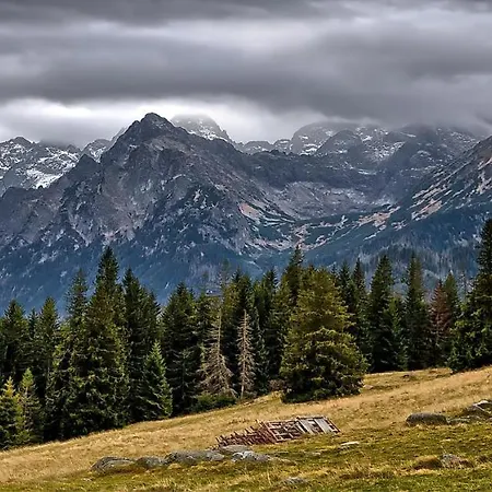 Tatry Fimali Apartment