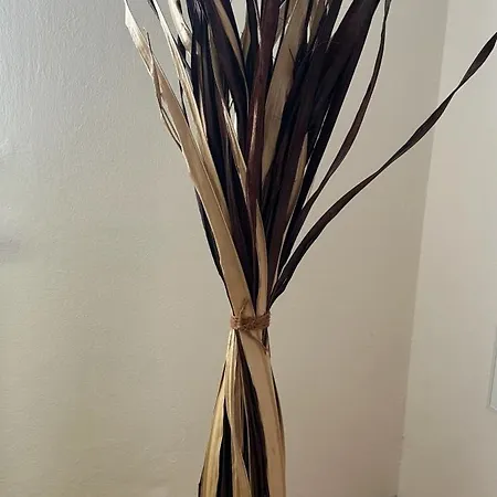 Appartamento Tatry Fimali *